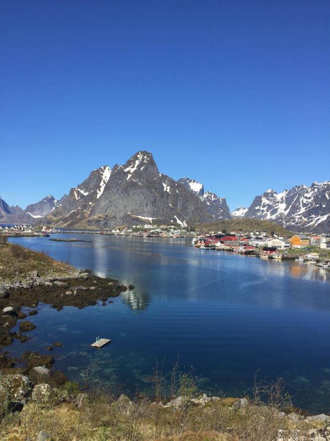 Madelhea Cabin- Seaview Lodge Reine Exteriör bild