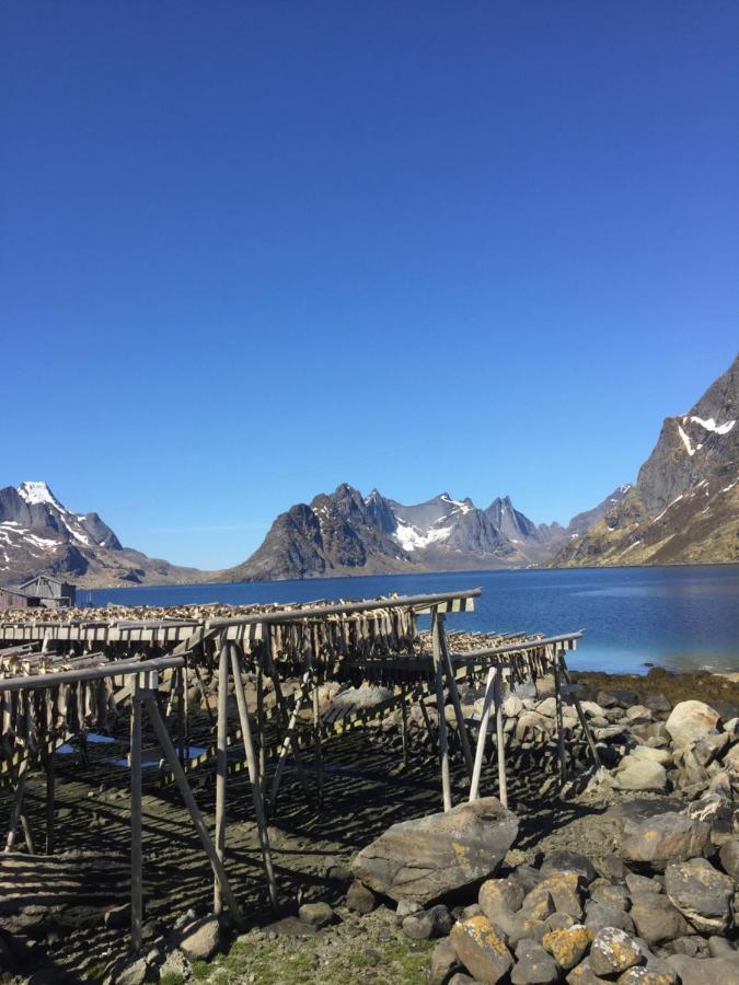 Madelhea Cabin- Seaview Lodge Reine Exteriör bild